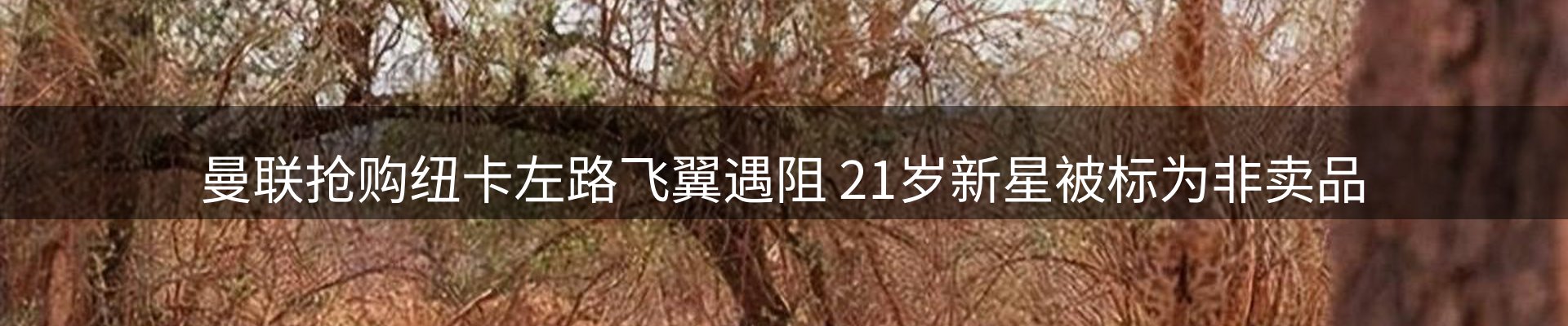 内页banner
